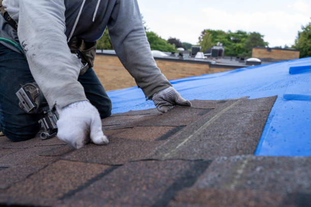 Best Emergency Roof Repair Services  in Mendon, IL